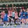Handball. Scénario cruel pour le Nantes HF face au Havre