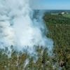 Feuerwehreinsätze: Erneut Waldbrände in Brandenburg ausgebrochen