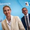 Aufstieg der AfD: Umfragehoch für AfD - Wer regiert Ende 2026 in Magdeburg?
