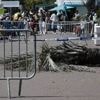 À Cannes, un homme « gravement blessé » par la chute d’un palmier sur la Croisette