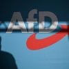 Zehn Gründe sprechen dafür: Weshalb ein AfD-Verbot nicht an Friedrich Merz scheitern wird