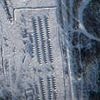 Why is Putin massing troops on the border of Finland? Military build-up similar to the prelude to Ukraine war sparks alarm in NATO