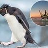 SMALL CAP MOVERS: Rockhopper seeks $140m for Falkland's offshore oil