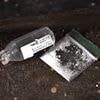 We live in Europe's drug death capital - there are no-go areas where locals can't walk as junkies are shooting up