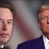 États-Unis : un divorce acté entre Donald Trump et Elon Musk ?