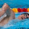 Weltmeisterschaft in Singapur: Märtens und Schwarz erreichen Finale bei Schwimm-WM