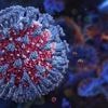 Viralité, vaccin, nombre de cas... Ce que l'on sait du nouveau variant du Covid-19 détecté en France