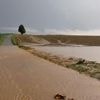 Viele Notrufe: Unwetter: viele Notrufe, Verletzte durch Hagel