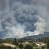 Plusieurs habitants confinés près de Narbonne après un incendie de 450 hectares