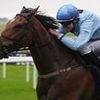 Robin Goodfellow's racing tips: Best bets for Monday, May 26