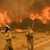 Wildfires rage in Spain and Portugal as heatwave continues