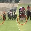 See the moment a kangaroo comes within INCHES of causing a disastrous fall at horse race
