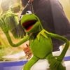 Kermit the Frog to deliver commencement address at the University of Maryland graduation