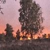 Drie brandhaarden aan basis vlammenzee op Mechelse Heide: 100 brandweermannen, dronepiloten en nu ook hulp uit Nederland