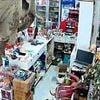 He thought he was in Tusko! Four-ton elephant gets stuck in supermarket