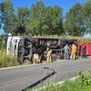 Vrachtwagen met koeien belandt in gracht: brandweer bevrijdt dieren