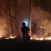 Brand woedt sinds vannacht op militair domein in Leopoldsburg: 2 hectare bos en heide verwoest