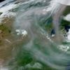 Incendies au Canada : les fumées toxiques arrivées en Europe sont-elles dangereuses ?