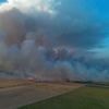 Feuer: Mehrere Waldbrände halten Feuerwehren im Osten in Atem