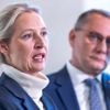 Trotz Kritik am Schwachkopf-Fall: Auch Weidel stellt Strafanträge wegen Beleidigung