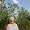 « Tout a été ramassé » : cette paysanne bretonne s’est fait voler toutes les prunes de ses arbres