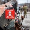 Platzierung mithilfe von Drohnen: Russland vermint offenbar Wohngebiete in der Ukraine