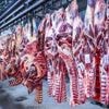 Marktkonzentration nimmt zu: Zahl der Schweineschlachtungen wieder leicht gestiegen