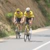 Wout van Aert verkent slotklim, wegdek ondanks alle alarmerende geluiden “in perfecte staat”