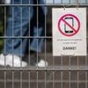 Nach dem Regierungswechsel: Ministerin Prien gegen private Handynutzung an Grundschulen