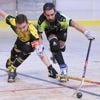 Rink-hockey. N1 : Nouveau coach, nouveau président, à Ploufragan le changement c’est maintenant