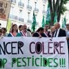 La pétition contre la loi Duplomb franchit la barre des deux millions de signatures