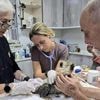 Cheetah cubs destined for illegal exotic wildlife trade rescued in Somaliland