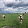 Natte voeten voor boeren, terwijl iets verderop een heel nieuw dorp komt