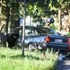 Ouder echtpaar botst met pizzakoerier op Beurtkaai in Roeselare: drie slachtoffers naar het ziekenhuis