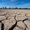 UN-Klimakonferenz in Bonn: Studie: CO2-Budget für 1,5-Grad-Ziel schrumpft rapide