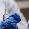 Briton dies from rabies after 'scratch' from puppy
