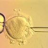 Eight babies have been born in Britain using a new three-person IVF technique designed to prevent hereditary diseases