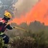 Greece closes the Acropolis as 44C heatwave grips Athens and Malaga is hit by wildfires while tornado rips through airport in storm-hit France as Europe battles extreme weather