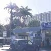 Épidemie du chikungunya : une situation toujours préoccupante à la Réunion