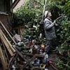 Furious neighbours claim hoarder next door has refused to 'empty his bins for 25 YEARS' causing infestation of two-foot rats in their homes