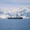 Krill catch in Antarctica soars to record following collapse of conservation deal