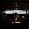 In the Arizona desert, a farm raising fish raises questions about water use