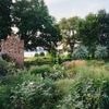 Weltreise durchs Paradies in Brandenburg: Zu Besuch im Petzower Schlossgarten