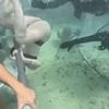 Terrifying moment underwater tourist appears to fight for life in viral video as diver reveal what really happened