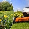 Experts reveal how to maintain a beautiful lawn this summer - and why you DON'T need to mow it all the time