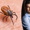 Verhoogd risico op tekenbeten door het droge weer: zo verwijder je het beestje veilig