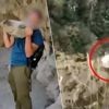 KIJK. Jongen gooit grote steen van klif in Spanje, maar dat komt hem letterlijk duur te staan: “Zeer ernstige overtreding”
