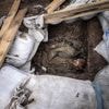Rusland heeft kaap overschreden van 1 miljoen militaire slachtoffers, waaronder 250.000 doden