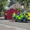 Fietser (78) verongelukt in Kortessem: bestuurder biedt zelf nog hulp aan