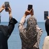 Communications, internet : comment les Israéliens (et Elon Musk) organisent l'isolement numérique des Palestiniens